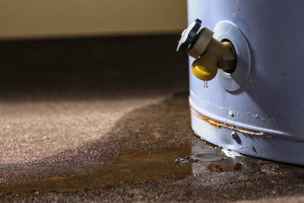 Trusted ID Water damage restoration Experts