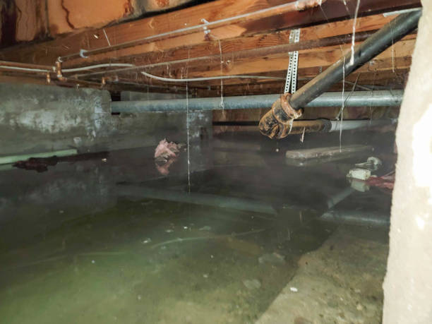 , ID Water damage restoration Company