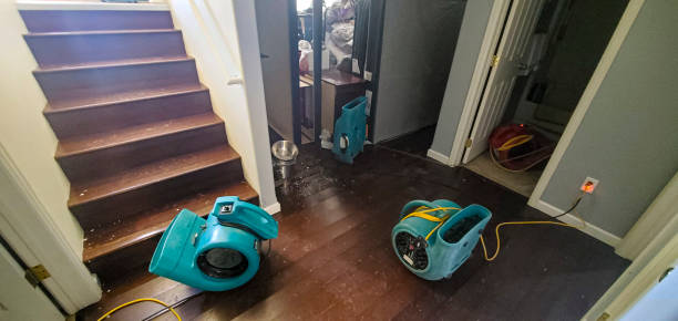 Best Local water damage restoration  in Osburn, ID