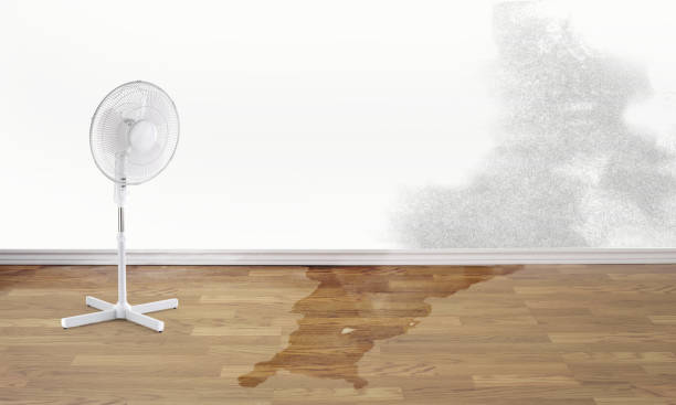 Best Carpet water damage restoration  in Osburn, ID
