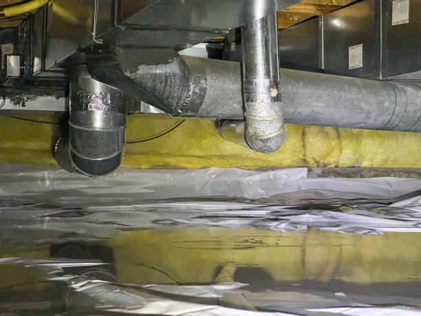 Best Mold removal after water damage  in Osburn, ID